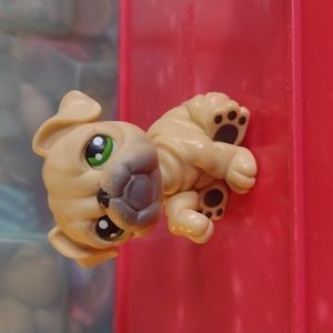 Littlest Pet Shop bulldog